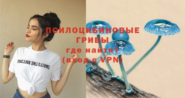 амф Белокуриха