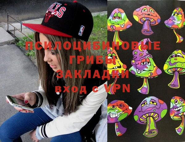 амф Белокуриха