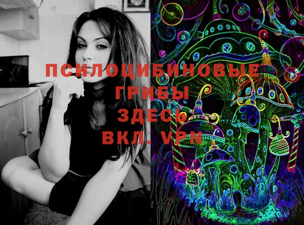 ГАЛЛЮЦИНОГЕННЫЕ ГРИБЫ Беломорск
