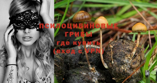 ГАЛЛЮЦИНОГЕННЫЕ ГРИБЫ Беломорск
