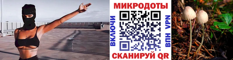 как найти закладки Щигры Псилоцибиновые грибы ЛСД